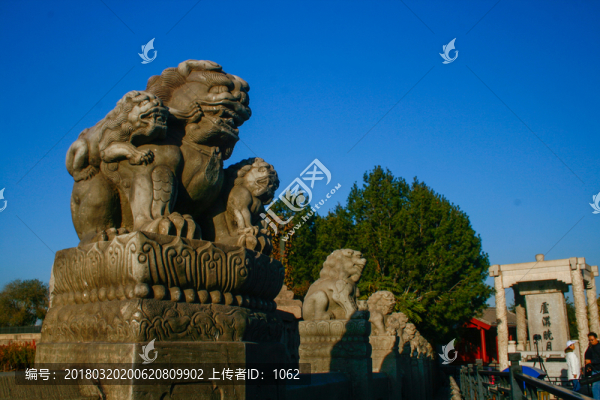 北京盧溝橋石獅子