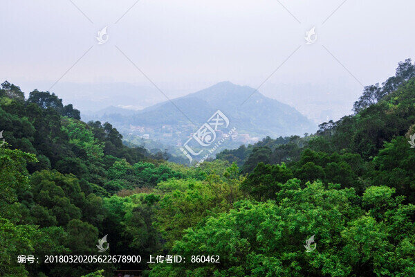 山林