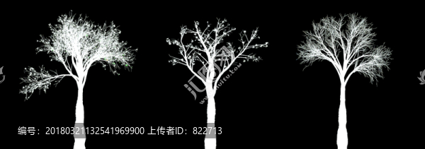 aaaaa副本