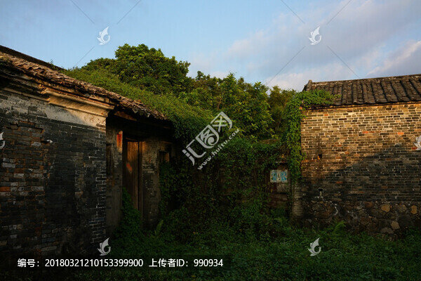 大洲村,破舊房子