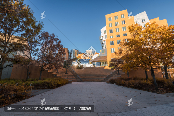 麻省理工學(xué)院校園建筑