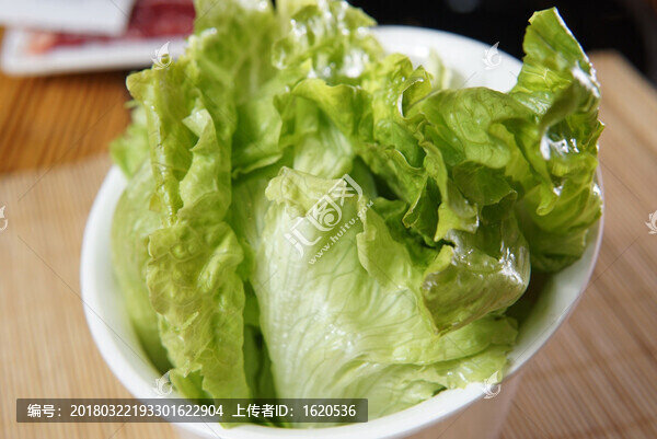 生菜