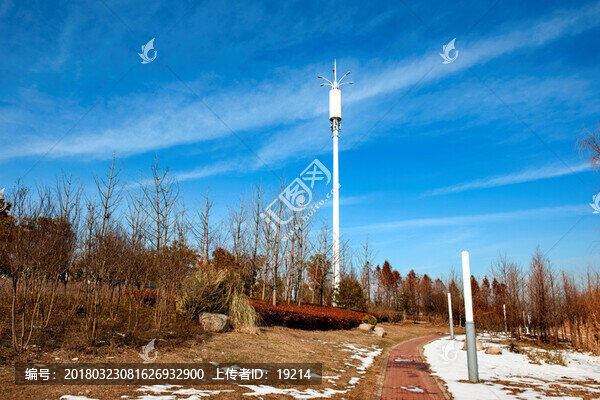 長(zhǎng)江江岸濕地