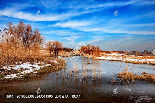 南京長(zhǎng)江沿岸濕地