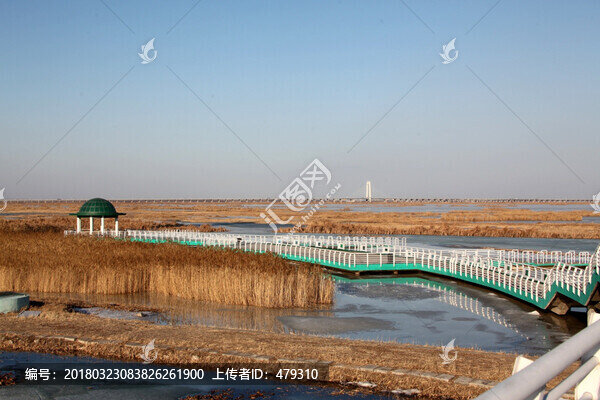 大慶,龍鳳濕地,涼亭,濕地,春