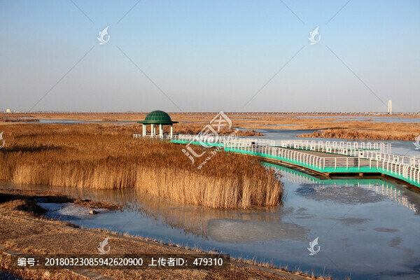大慶,龍鳳濕地