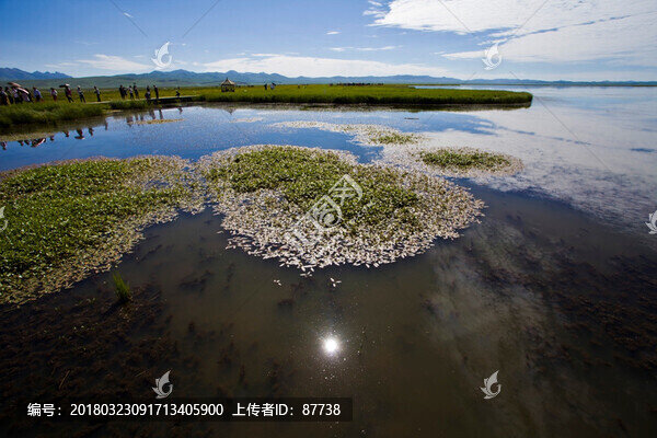 花湖