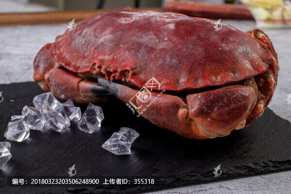 面包蟹