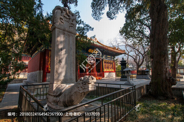 北京臥佛寺,臥佛殿