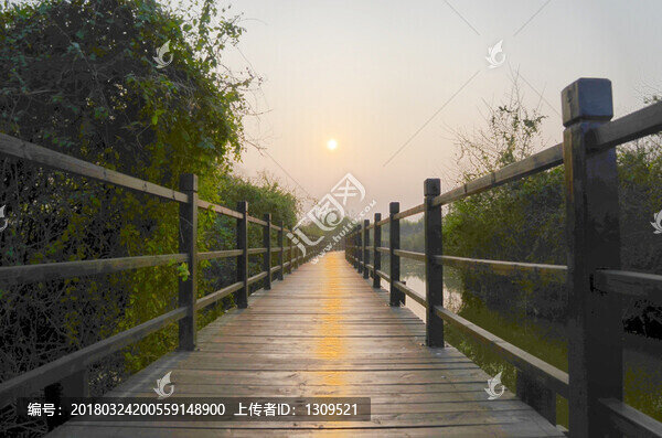 桂林會(huì)仙濕地棧道落日