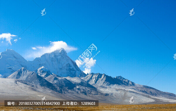 雪山下的濕地