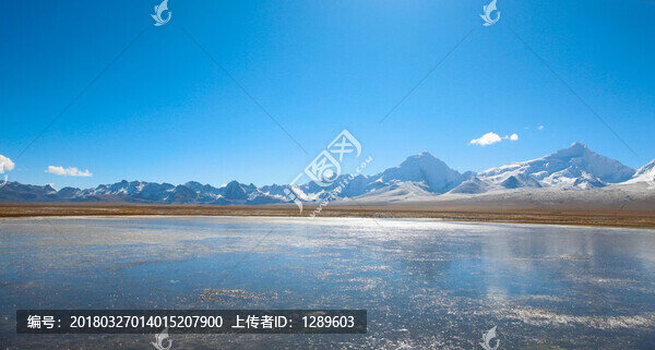 雪山下的濕地