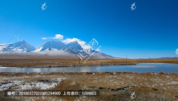 雪山下的濕地
