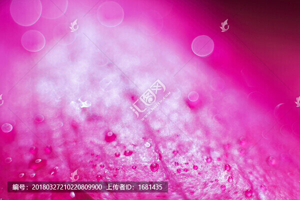 迷幻玫瑰花瓣