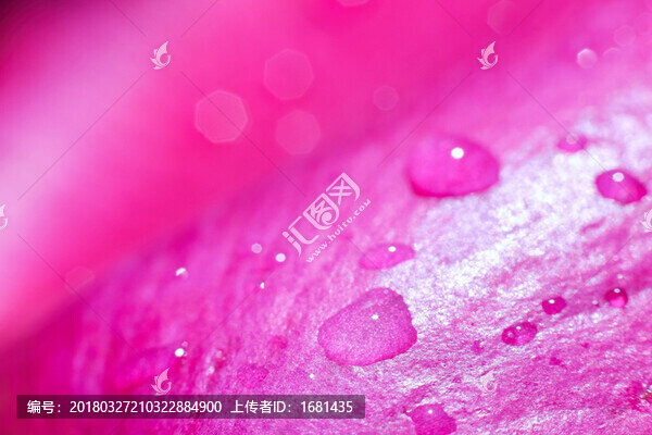 迷幻玫瑰花瓣