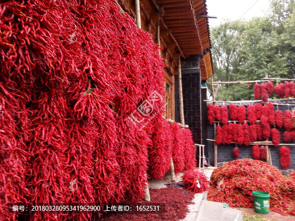 農(nóng)家線(xiàn)辣椒