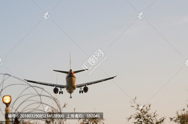 飛機