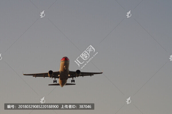 飛機