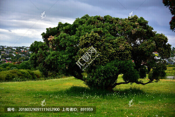 奧克蘭城市海濱風(fēng)光