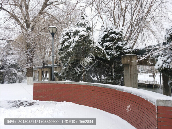 沈陽(yáng)大雪路燈