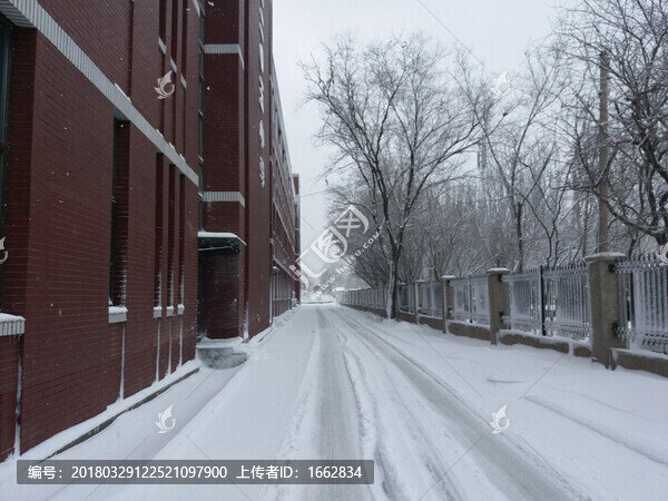 沈陽大雪雪后