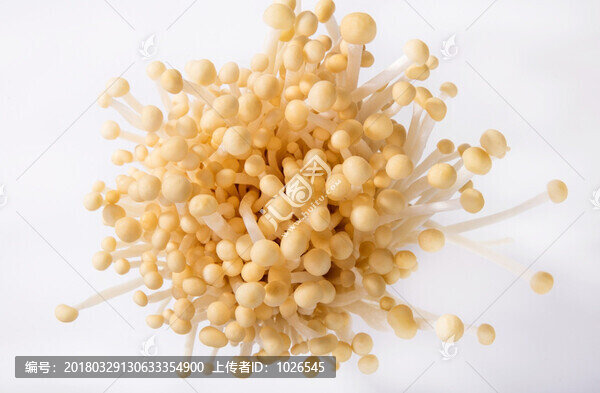 金針菇