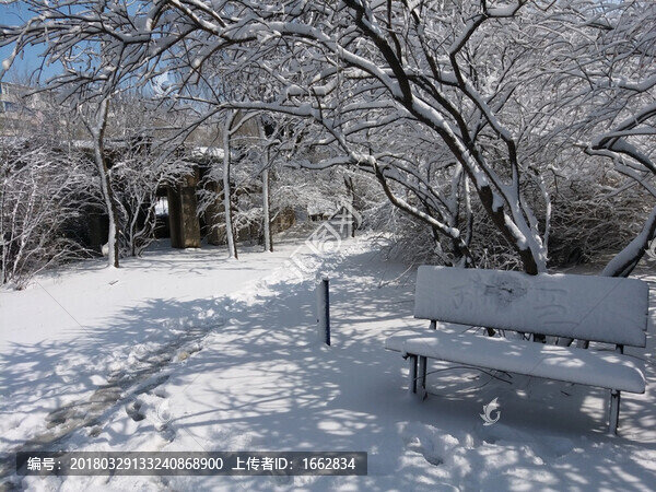 沈陽大雪公園