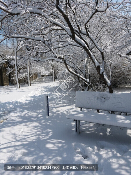 沈陽大雪公園內(nèi)