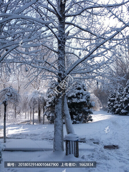 沈陽大雪垃圾桶