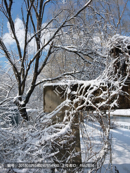 沈陽(yáng)大雪石頭