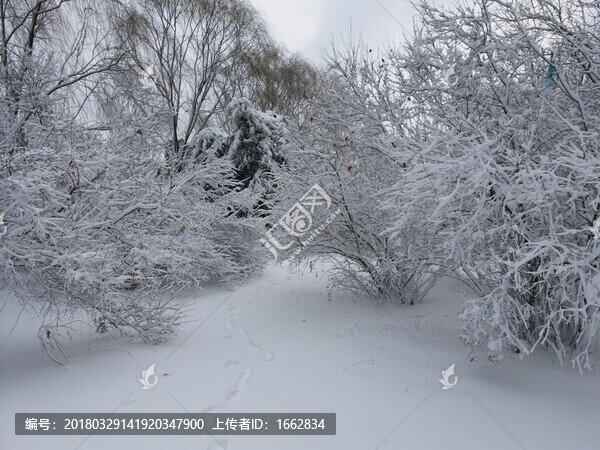 沈陽大雪雪地積雪