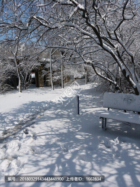 沈陽(yáng)大雪長(zhǎng)椅