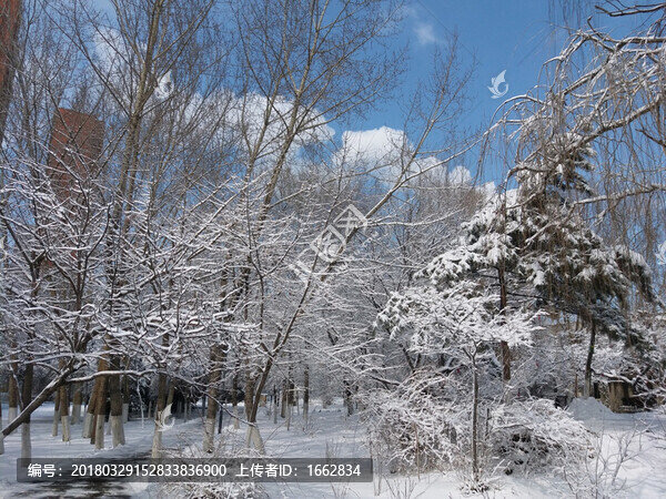 沈陽(yáng)大雪之天空