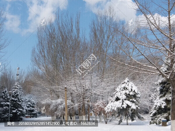 沈陽(yáng)大雪之小路
