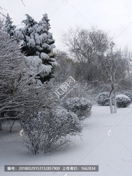 沈陽(yáng)大雪之雪后雪地