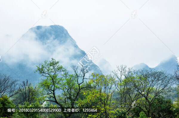 霧色山景