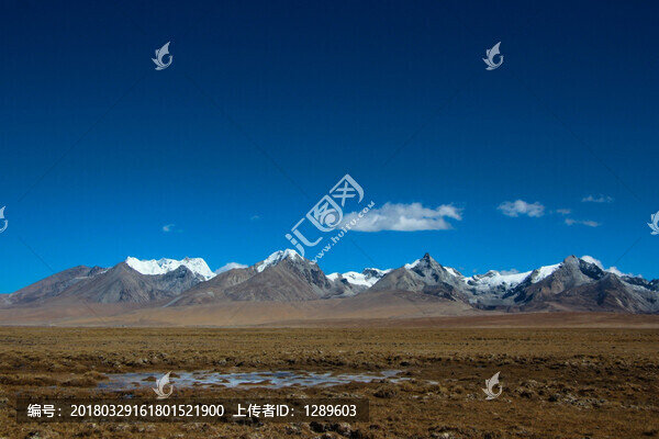雪山下的濕地