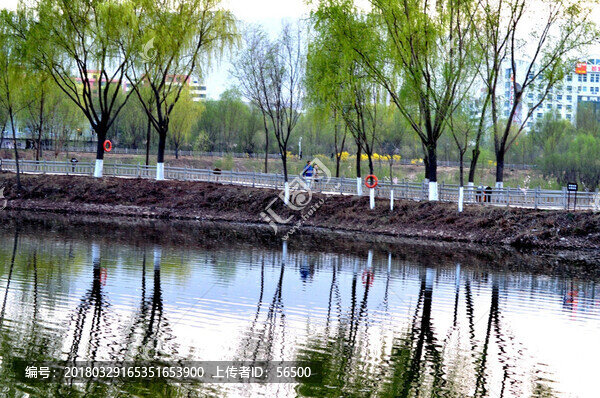 蘭州濕地公園