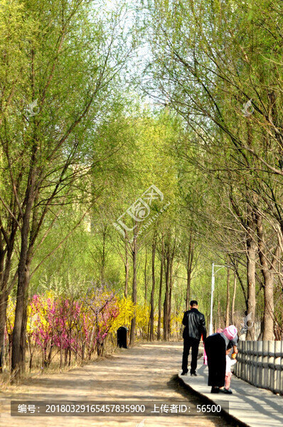 蘭州濕地公園