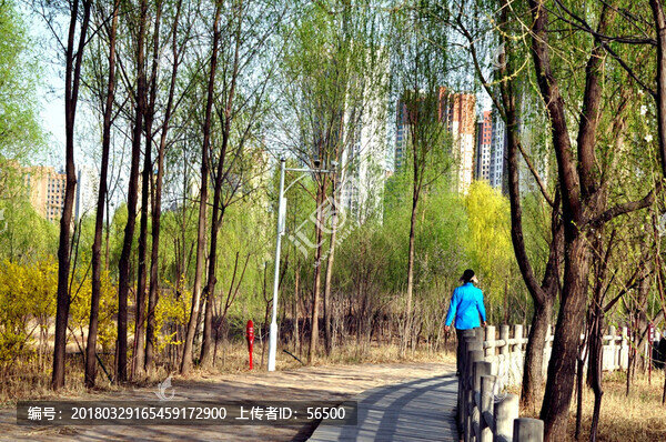 蘭州濕地公園