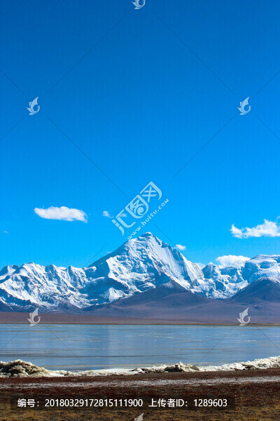 雪山下的濕地
