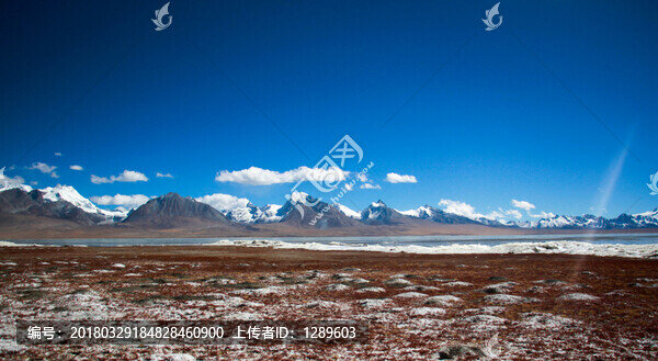 雪山下的濕地