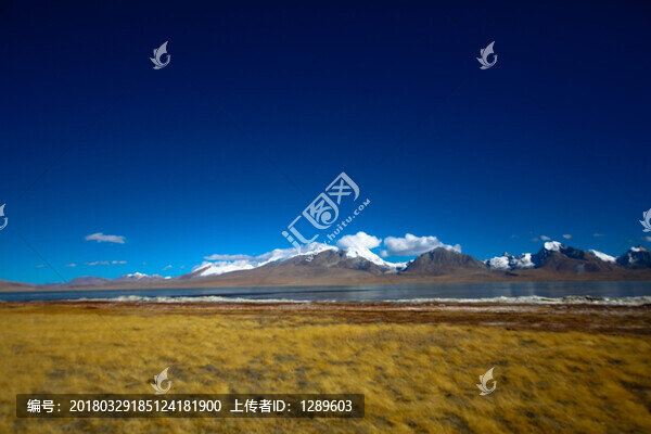 雪山下的濕地