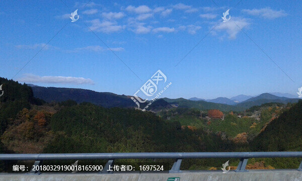 路邊山色