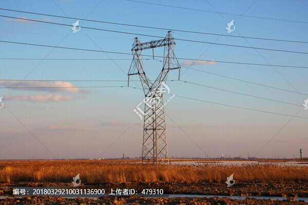 電塔,高壓線,電力輸出,原野