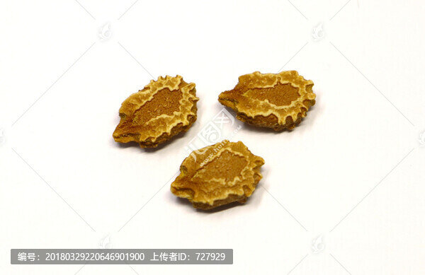 三顆金鈴子種子
