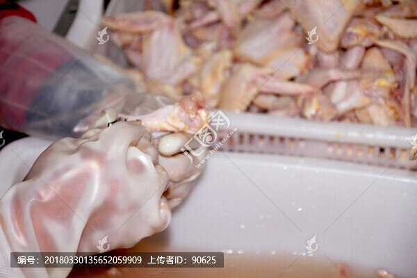 鮮鴨翅,粗加工,拔毛