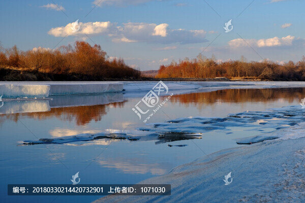 冰河紅柳