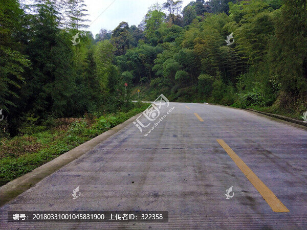 竹林山路