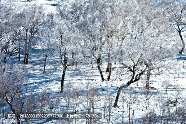 寒冬雪地
